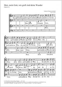 Herr, mein Gott, wie gross 