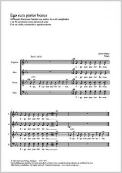 Ego sum pastor bonus Standard