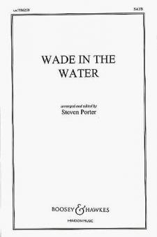 Wade in The water 