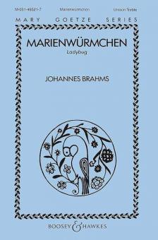 Marienwürmchen 