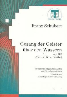 Gesang der Geister über den Wassern 