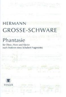 Phantasie (nach Motiven eines Schubert Fragmentes) 