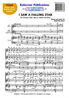 I Saw A Falling Star 