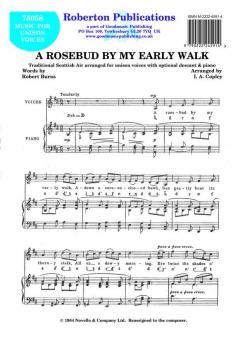 Rosebud By My Early Walk 