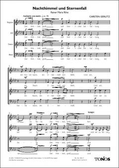 Nachthimmel und Sternenfall 