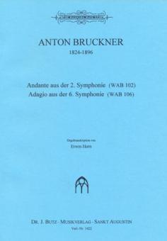 Andante aus der 2. Symphonie (WAVB 102) & Adagio aus der 6. Symphonie (WAB 106) 