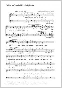 Schau auf, mein Herz 