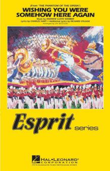 Wishing You Were Somehow Here Again 