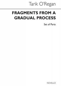 Fragments From A Gradual Process 