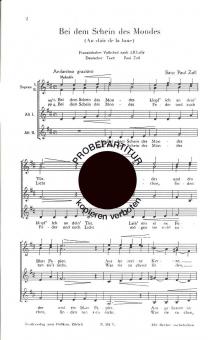 Bei dem Schein des Mondes 