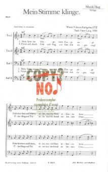 Meine Stimme klinge 