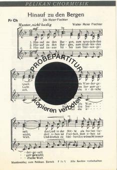 Hinauf zu den Bergen 