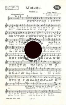 Motette Hob XXI:1/13c 