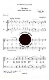 Morgen 
