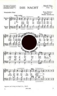 Nacht 