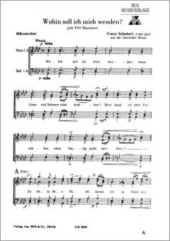 Wohin soll ich mich wenden 