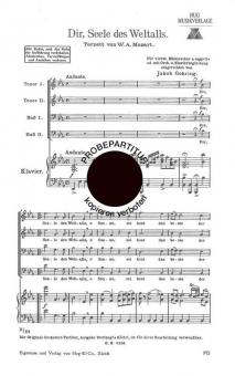 Dir Seele des Weltalls 