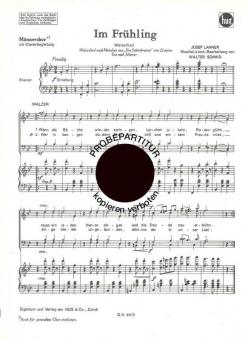 Im Frühling 