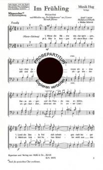 Im Frühling 