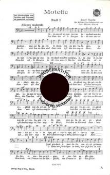 Motette Hob XXI:1/13c 