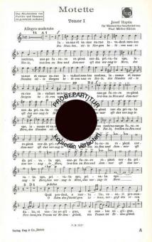 Motette Hob XXI:1/13c 