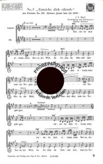 Entziehe dich eilends 