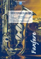 Stevie Wonder In Concert 