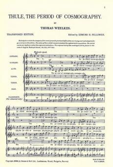 The Andalusian Merchant With Thule, The Period Of Cosmography 