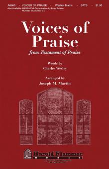 Voices Of Praise From Testament Of Praise 
