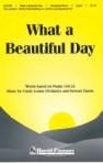 What A Beautiful Day 