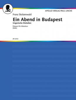 Ein Abend in Budapest 