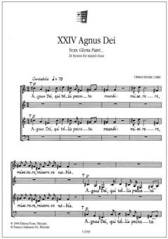 Gloria patri Nr. 24 op. 17 