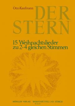 Der Stern 