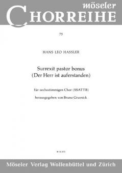 Surrexit pastor bonus Standard