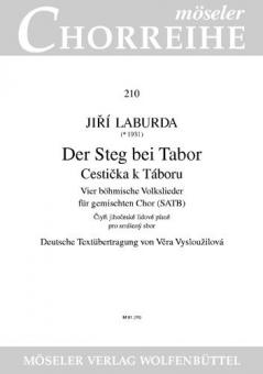 Der Steg bei Tabor Standard
