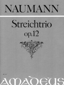 Trio in D-dur op. 12 