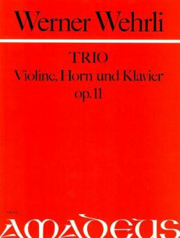 Trio op. 11 in d-moll 