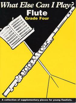 What Else Can I Play? Flute Grade 4 