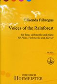 Voices of the Rainforest 