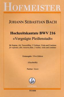Hochzeitskantate BWV 216 'Vergnügte Pleissenstadt' 