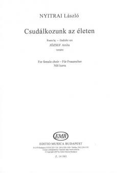 Csudálkozunk az életen - Gedicht von József Attila 