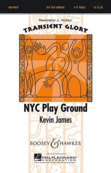 NYC Play Ground 