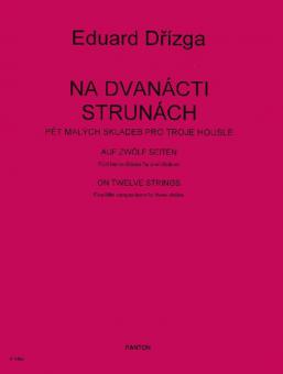 Auf zwölf Saiten 