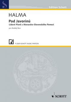 Pod Javorinú (Unter Javorina) Standard