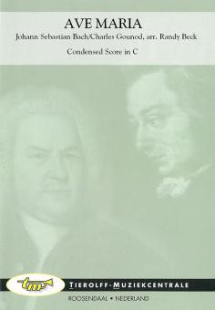 Ave Maria (Meditation) 