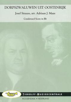 Hirondelles d'Autriche 