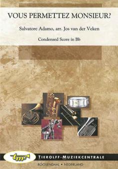 Vous permettez, monsieur? 