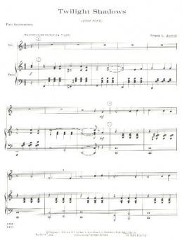 Twilight Shadows 
