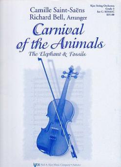 The Elephant & Fossils 