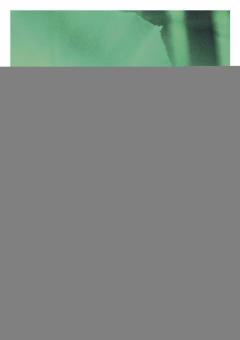 Il est né, le divin Enfant 